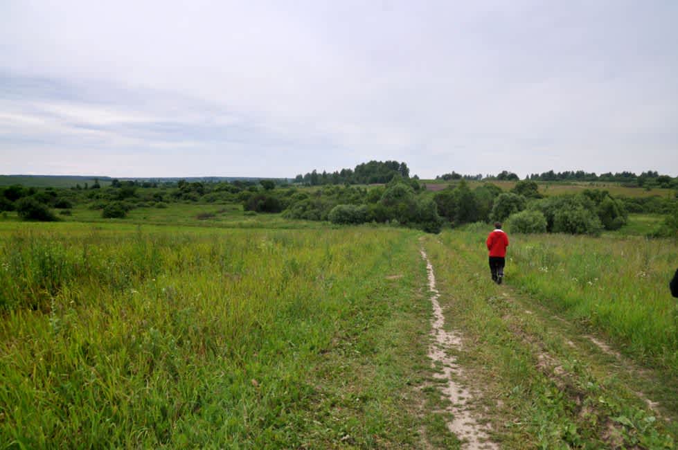 The road from Bayevo village to the murder site. Photographer: 	Alexander Litin, 2011.