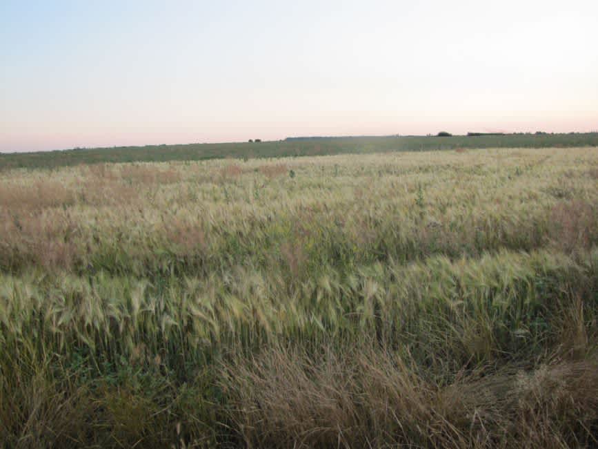 Area of the well near Naydorf village. Photographer: 	Mikhail Tyaglyy, 2011.