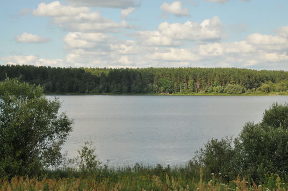 Zelenskoye Lake where the Jewish women, children, and old people were shot. Photographer: 	Alexander Litin, 2011.