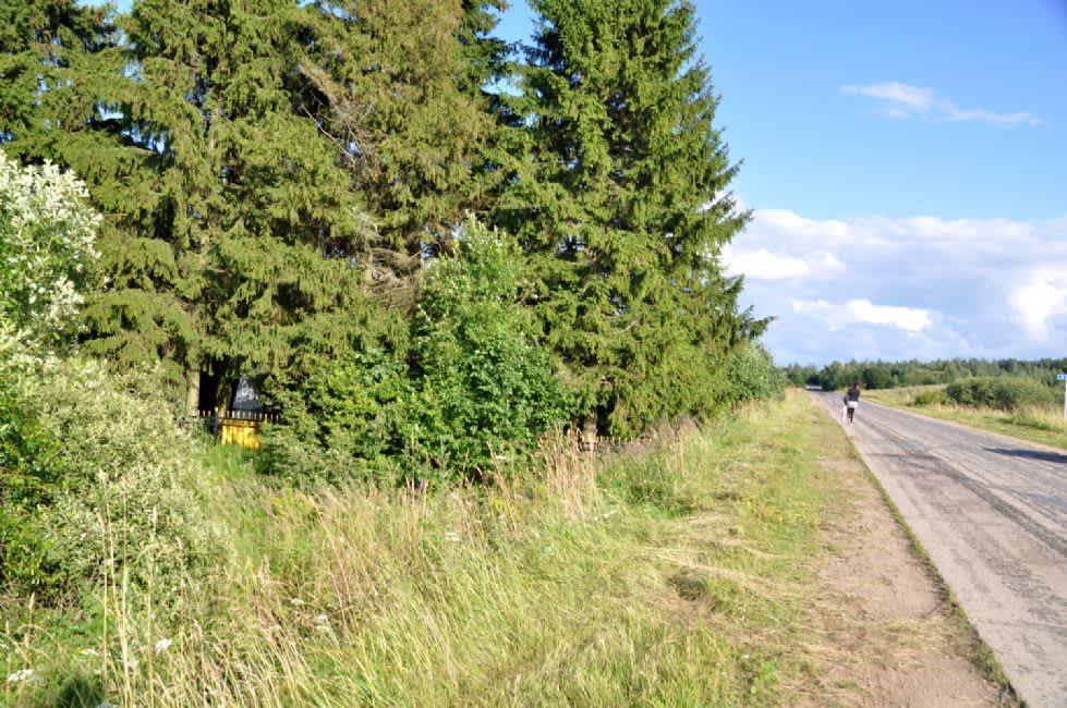 Murder site. Photographer: 	Alexander Litin, 2012.