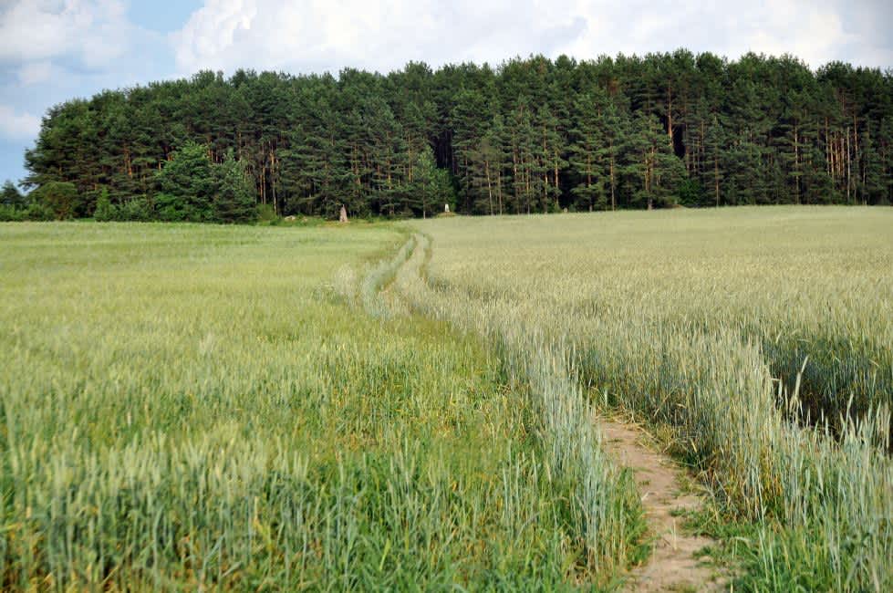 Zadoshchenye murder site in Shatsk. Photographer: 	Alexander Litin, 2012.