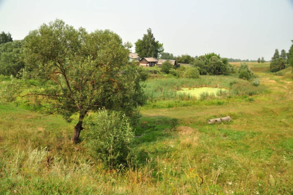Dairy site. Photographer: 	Alexander Litin, 2011.