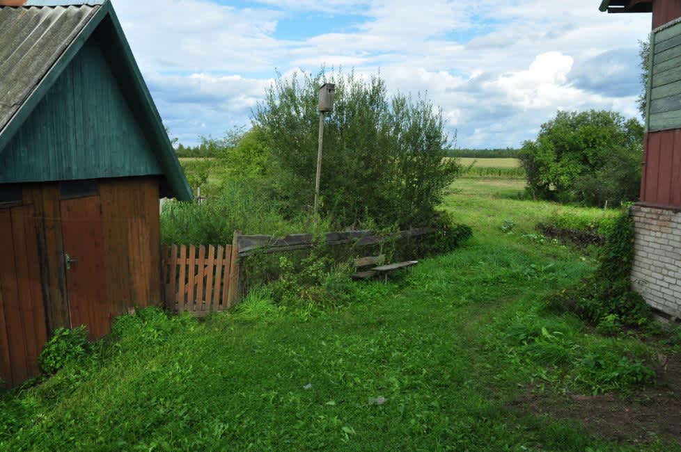 Gorbunov Street murder site in Bogushevsk, recent view. Photographer: 	Alexander Litin, 2011.