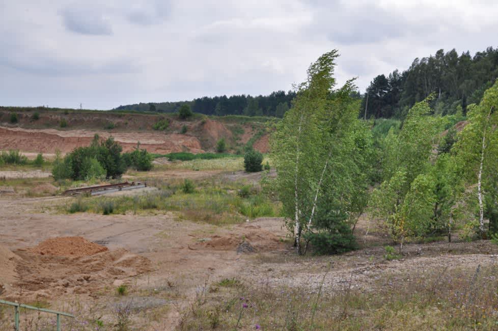 Gayek ravine murder site, contemporary view. Photographer: 	Alexander Litin, 2014.