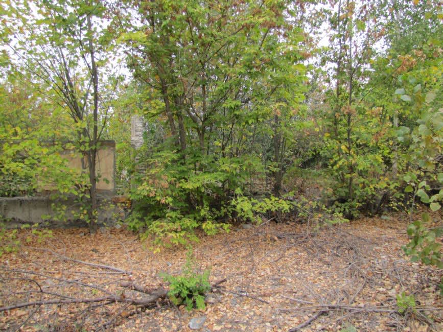 Murder site of the former shooting range in Belaya Tserkov. Photographer: 	Mikhail Tyaglyy, 2018.