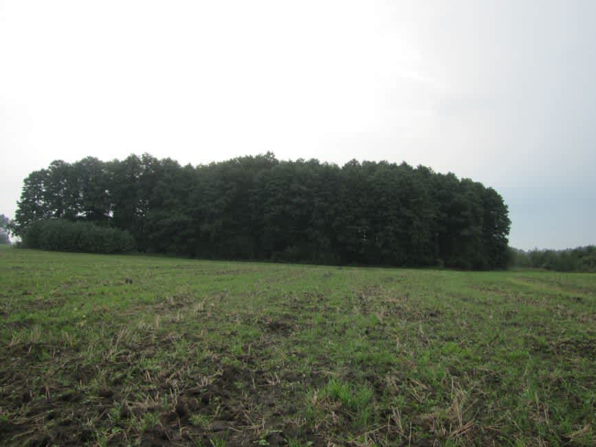 The Kazany ravine in the vicinity of the village of Yagodenka. Photographer: 	Mikhail Tyaglyy, 2012.