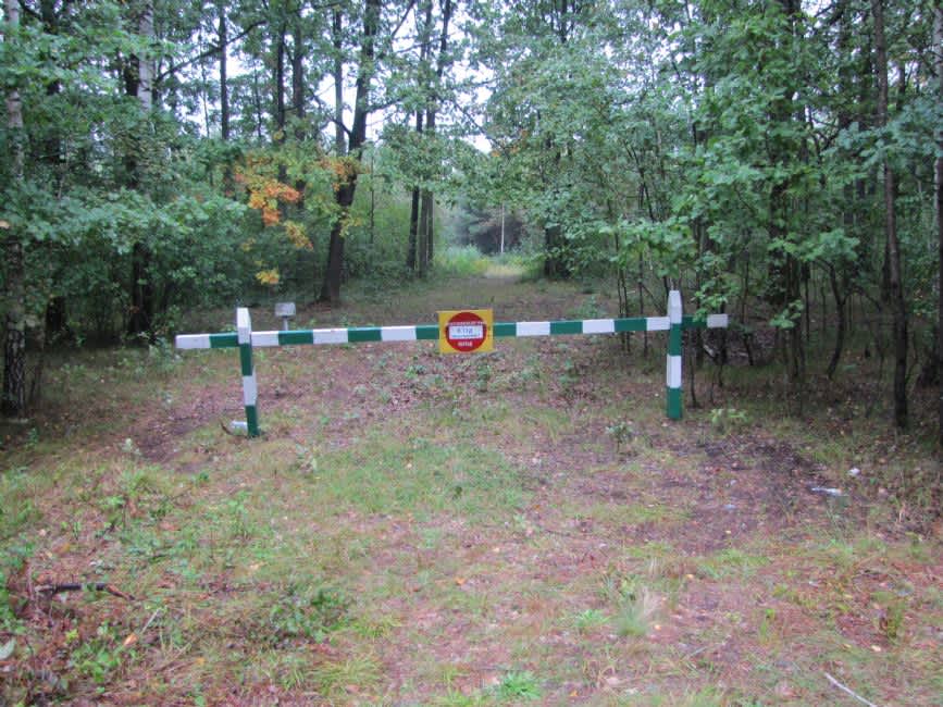 Vicinity of the road from Rogachov to Kamennyy Brod. Contemporary view of the murder site. Photographer: 	Mikhail Tyaglyy, 2012.