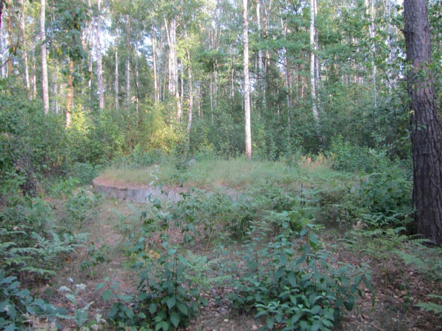 The murder site in the forest in the vicinity of the village of Stariy Bobrik. Photographer: 	Mikhail Tyaglyy, 2015.