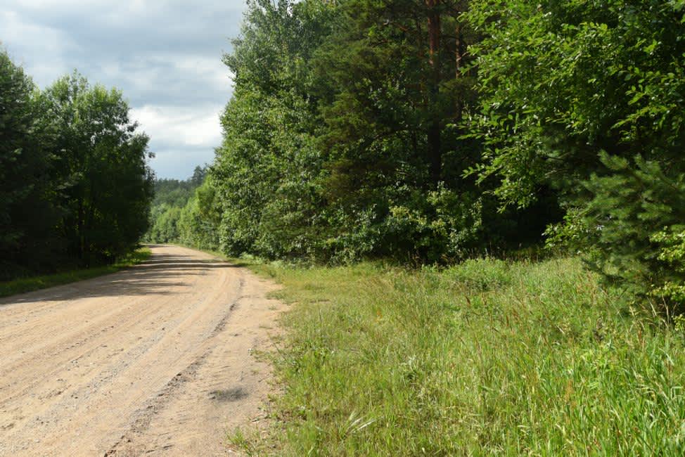 The site where the Kizin family was murdered. Photographer: 	Alexander Litin, 2018.