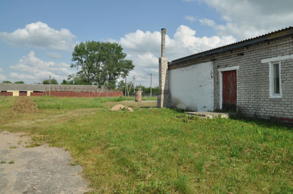 The former murder site of the Jews of Parafianów. Photographer: 	Alexander Litin, 2013.