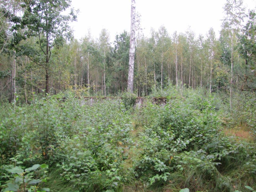 Murder site area