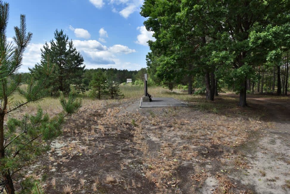 The former murder site of the Jews of Sitnya in the Sitnya Forest. Photographer: 	Alexander Litin, 2015.