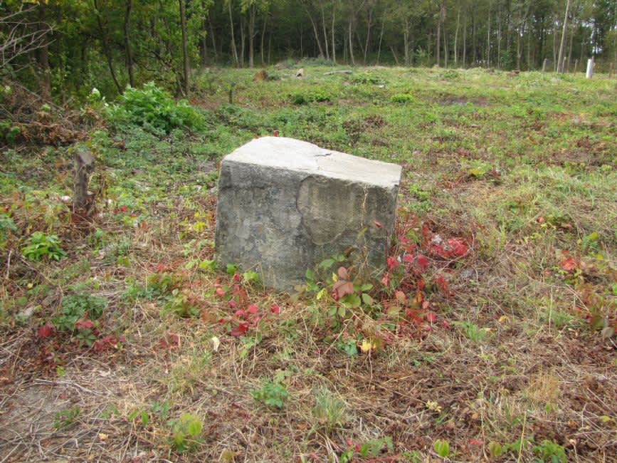 The area of the former the 7th site. Photographer: 	Mikhail Tyaglyy, 2016.
