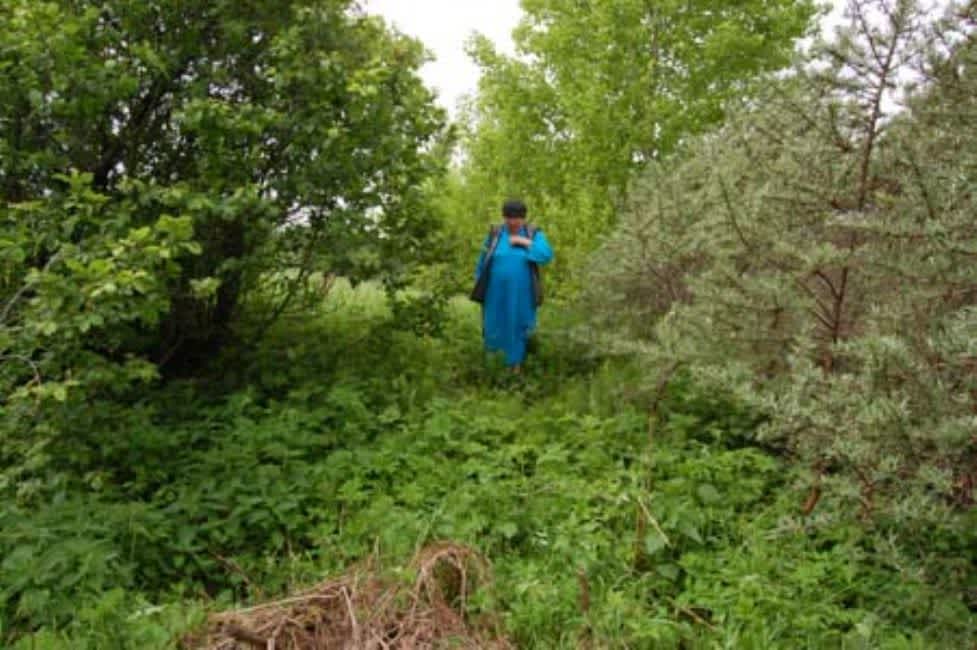 Burial place of Stefa Shekhter and her daughters