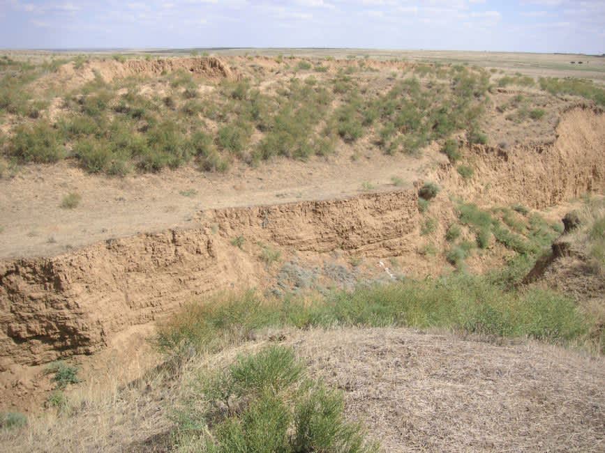 Bulgun Ravine   Photo by Inga Kuleshova. Photographer: 	Inga Kuleshova, 2014.