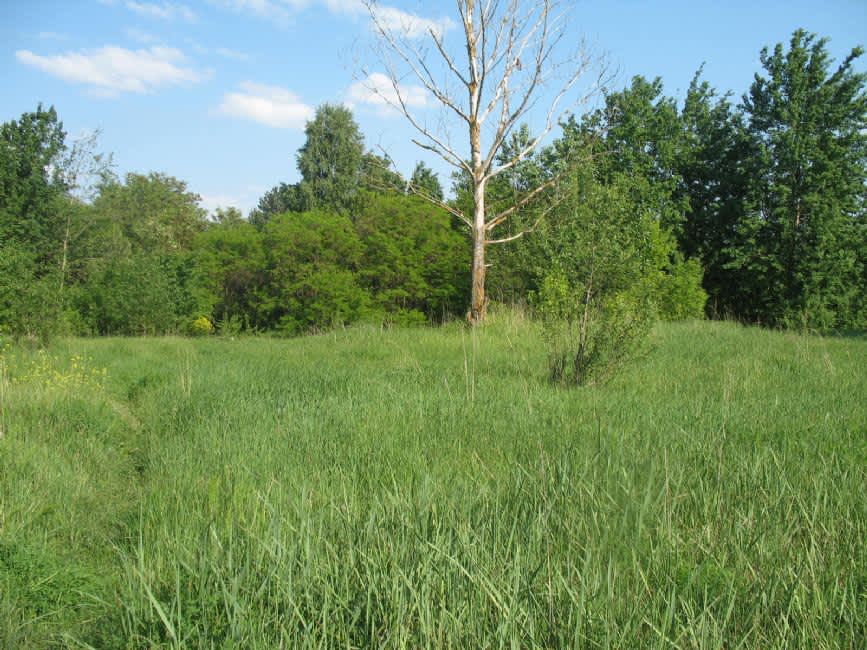 The Lysye Gorki murder site