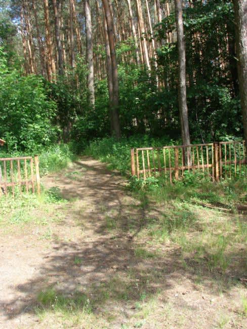 Brodetsk Forest, site of the murder of Shpola deportees
