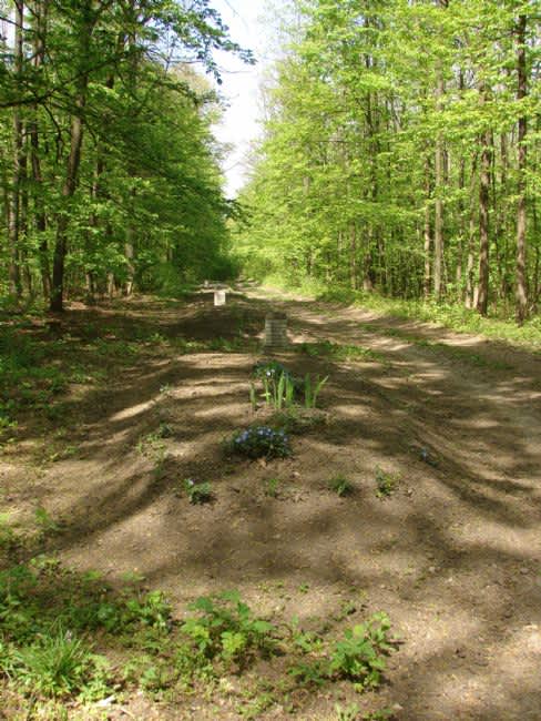 Site of the murder of Uman Jews in the Grozdevo Forest