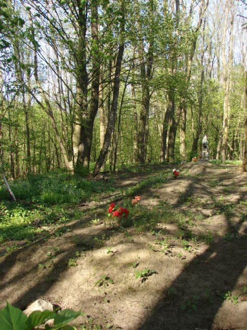 Murder Site of Yustingrad Jews in the forest near Konelskaya Popovka