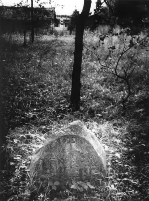 Jewish cemetery in Rodnya. Photographer: 	Alexander Frenkel.
