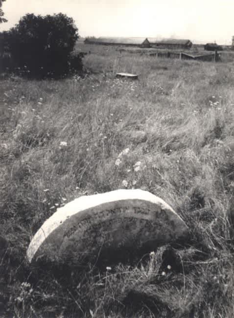Jewish cemetery in Khotimsk. Photographer: 	Alexander Frenkel, 1988.