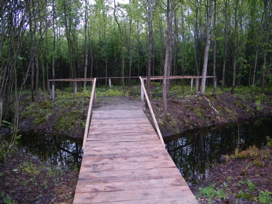 Current view of Brick Factory murder site near Chocieszów