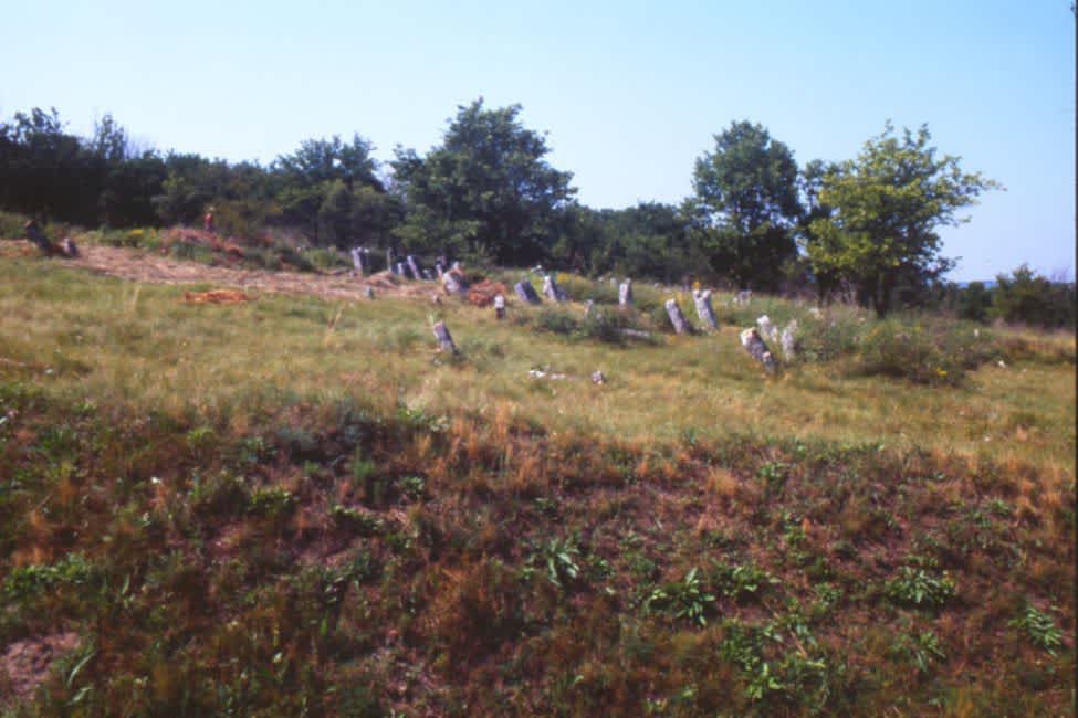 Old Jewish cemetery - site of the murder of Tomashpol's Jews