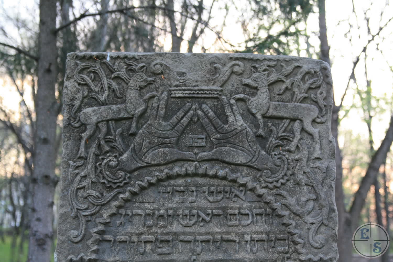 A tombstone at the Jewish cemetery of Ostróg.. Photographer: Eugene Shnaider, 2012.