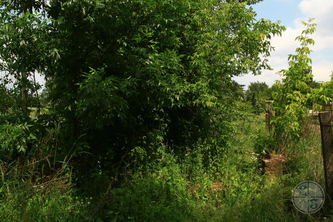 The former murder site of the Jews of Ushomir. Photographer: Eugene Shnaider, 2017.