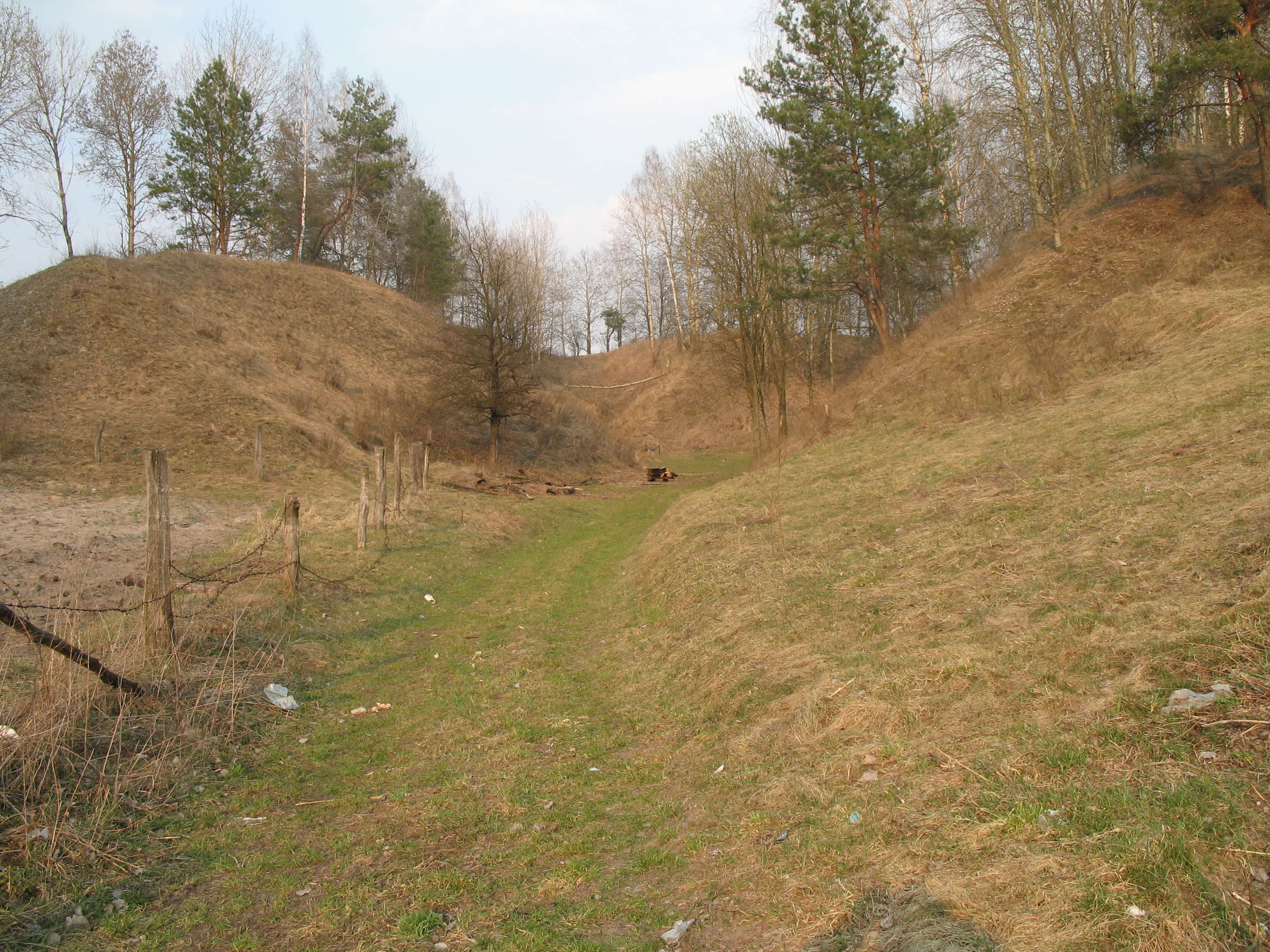Former murder site of Yurovichi Jews in the trench in Yurovichi area.. Photographer: 	Vadim Akopyan, 2007.